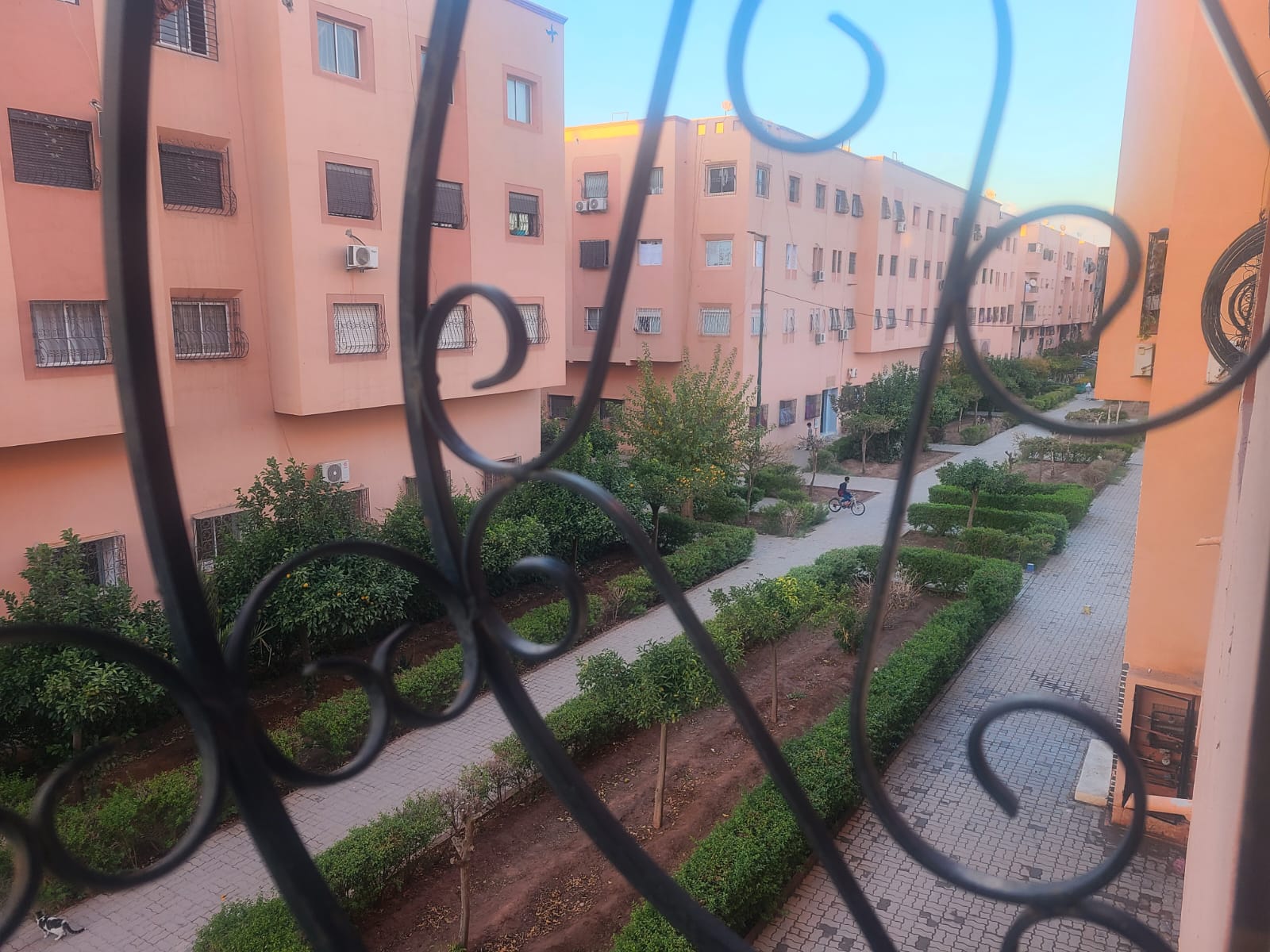 Appartement a vendre 