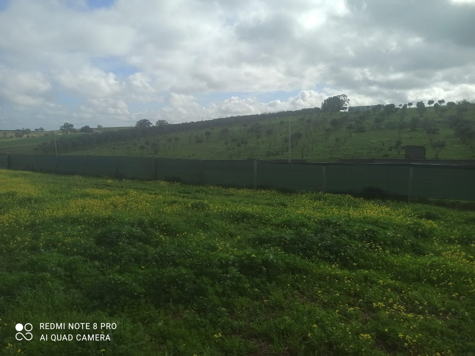  نصف هكتار للبيع